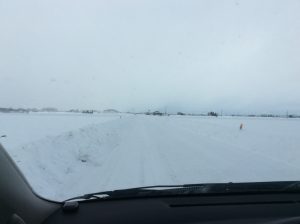 雪深い青森、これでも今年は少ないし暖かいよ～って・・・