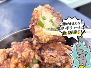 唐揚げ専門からはちさんの「-極-唐揚げ」は特製漬けダレの濃厚な味わいでご飯が止まらない!